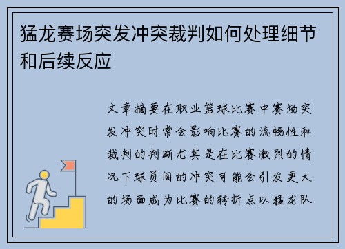 猛龙赛场突发冲突裁判如何处理细节和后续反应